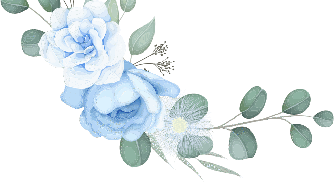 Wesele Julia Marcel 2026